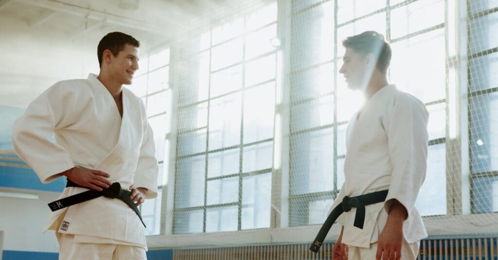 Martial arts training guide focused on belt progression and discipline