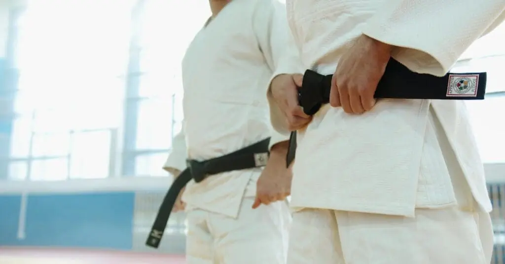 Martial arts training guide highlighting black belt progression and focus
