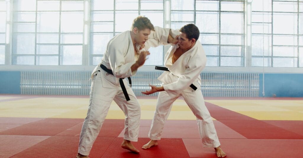 Martial arts training guide demonstrating grappling and partner technique drills