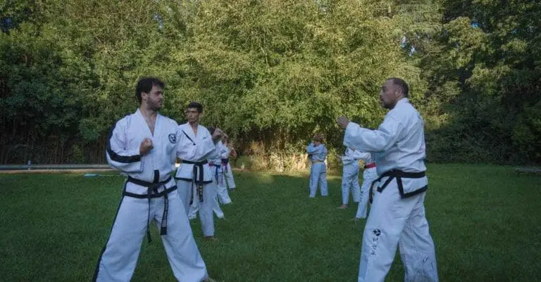 Group martial arts training guide session practicing combat stances outdoors
